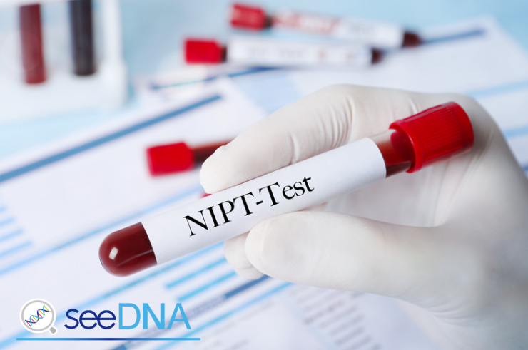 NIPTとは何か？受検前に知るべき基本知識