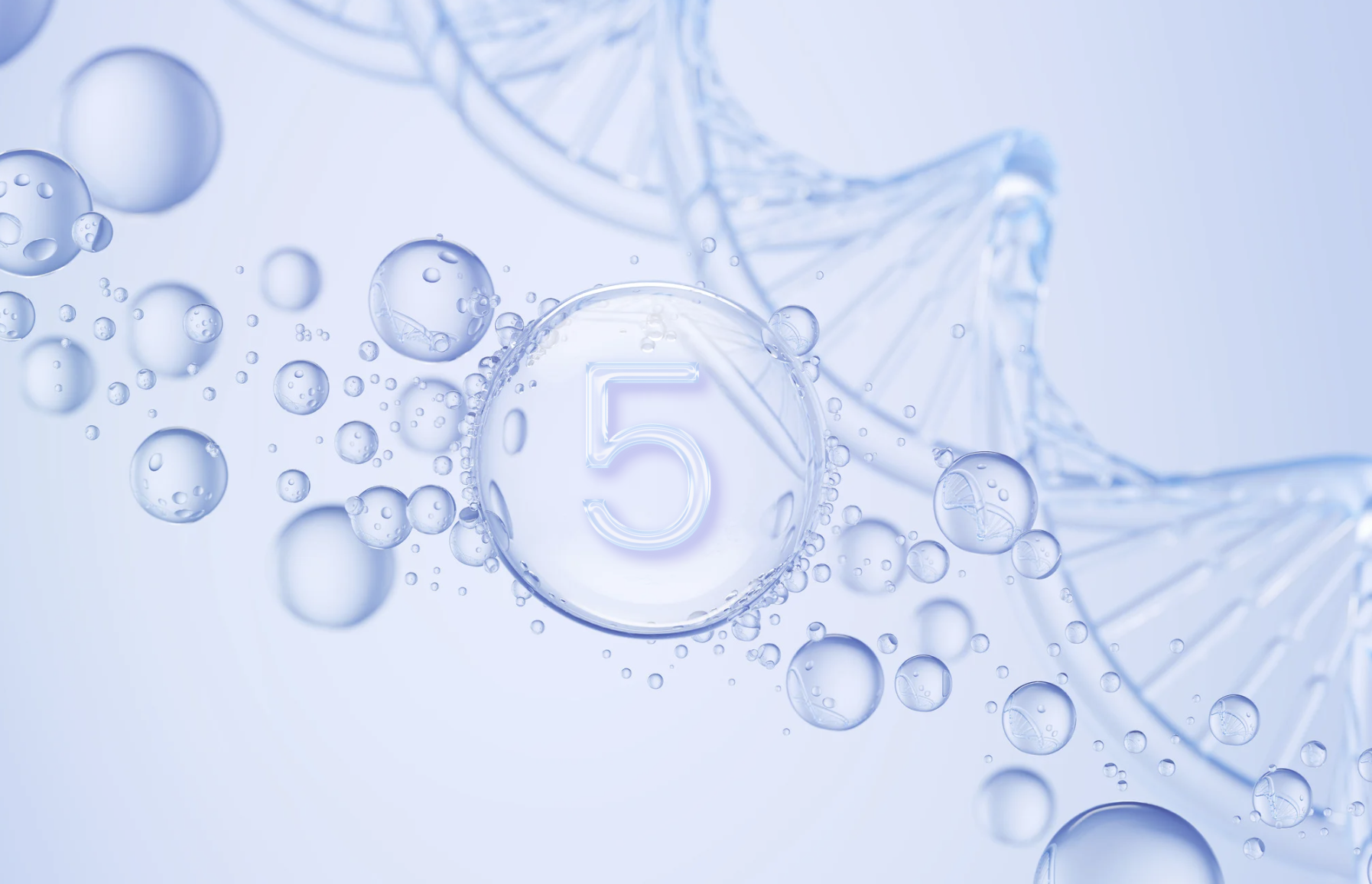 DNA鑑定でわかる5つの情報のイメージ