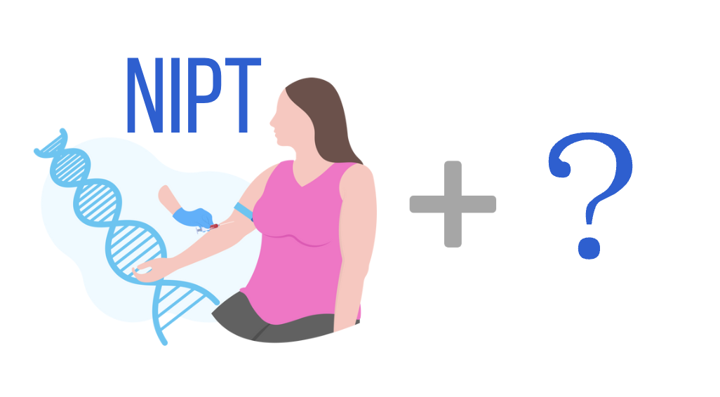 NIPTと他検査の併用イメージ(補完的な役割分担)