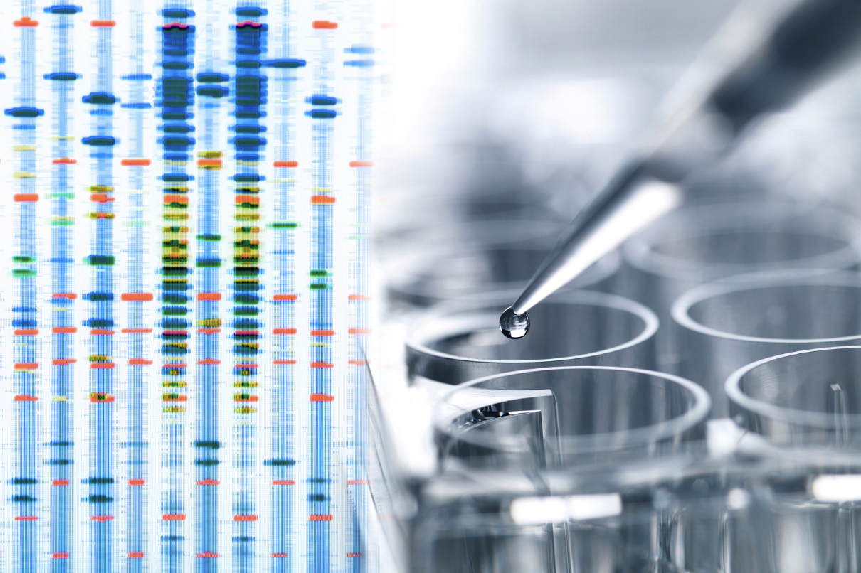 遺伝子検査によるAGAリスクとSULT1A1酵素活性の予測イメージ
